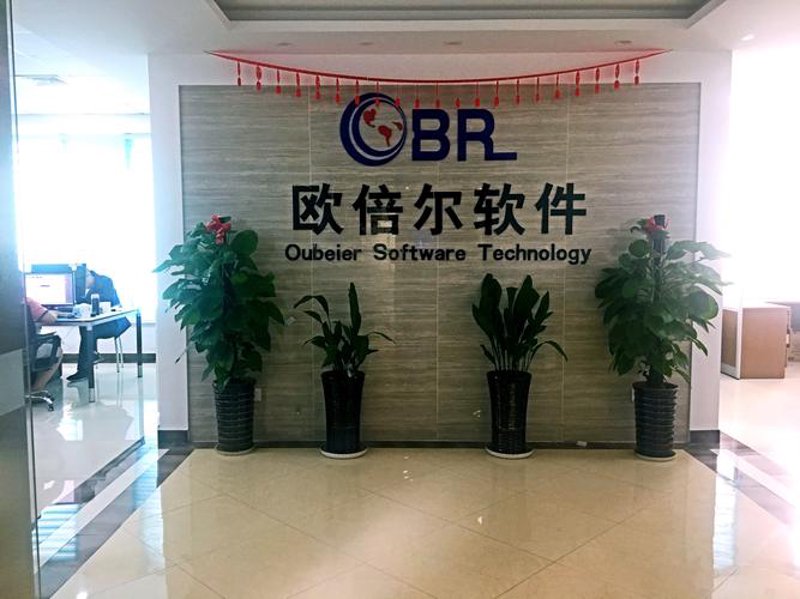 企业信息化：数字化转型的新篇章